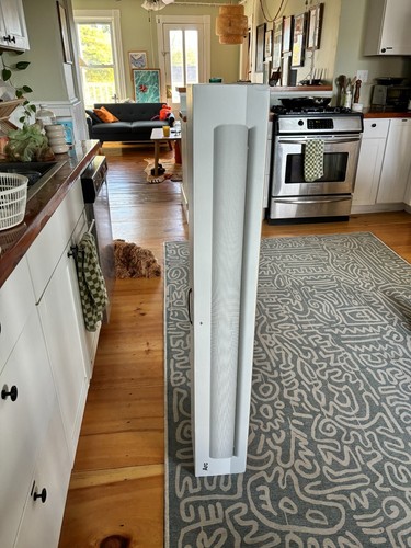 Sonos arc channel smart - sonos,
